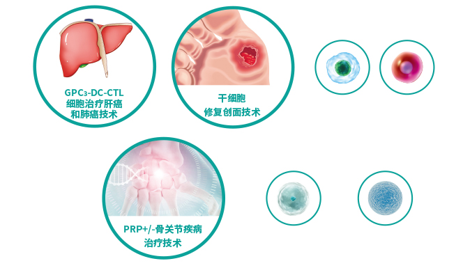 細(xì)胞治療技術(shù)研發(fā)